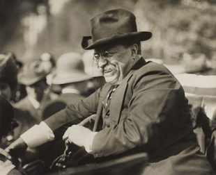 TEDDY