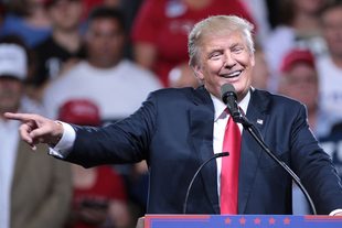 TRIMP