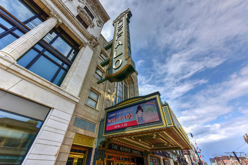 buffalo-2