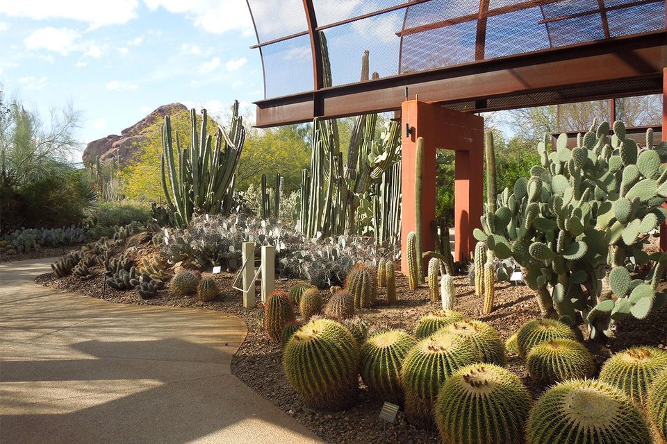 Desert Botanicals Gardens