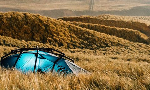 Heimplanet NIAS