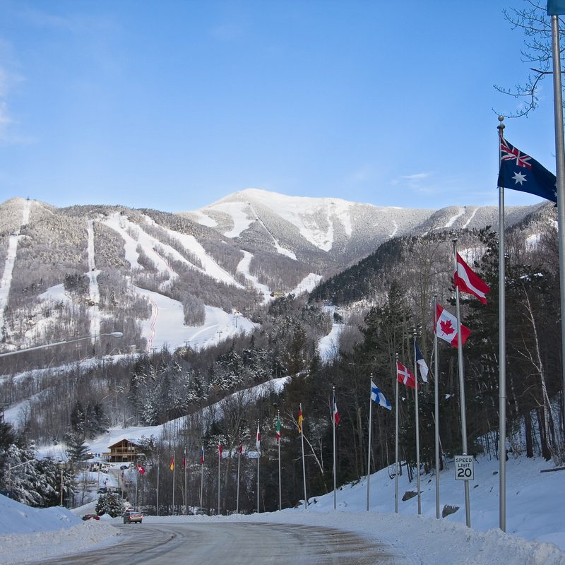 Whiteface