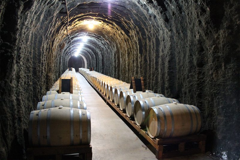 winery-1