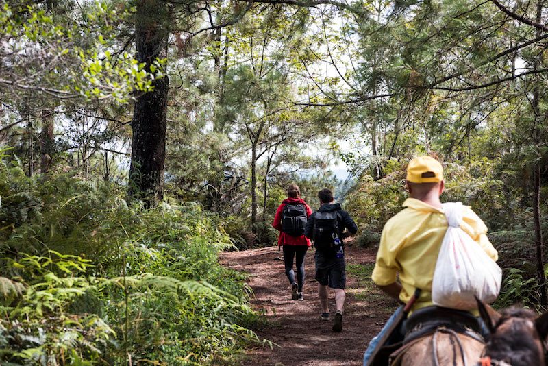Hiking near Pico Duarte.