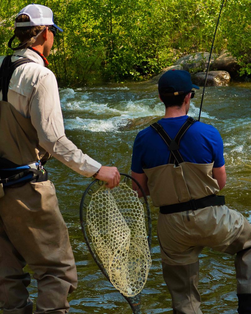 Hinterlands Fishing Guide