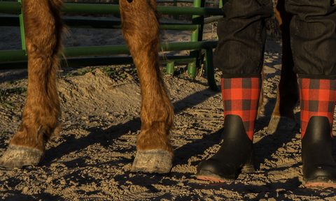 Muckboots Arctic Excursion