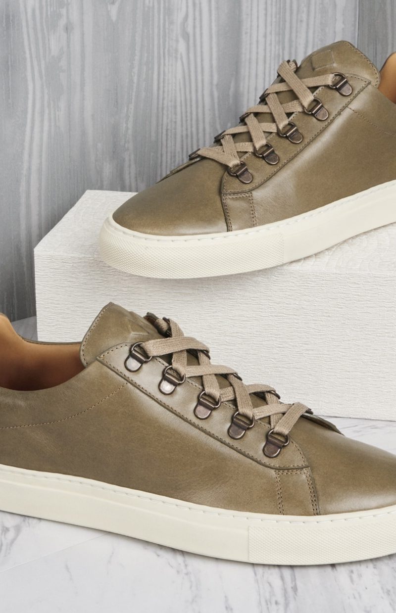 gavia olive