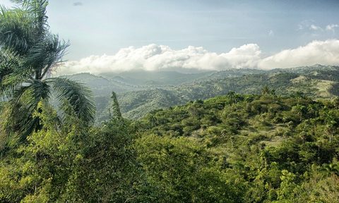 dominican republic