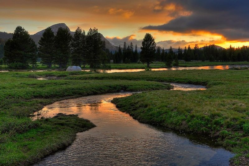 Tuolumne Meadows