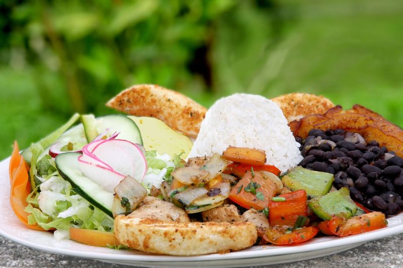 5225434 - casado - traditional food in costa rica