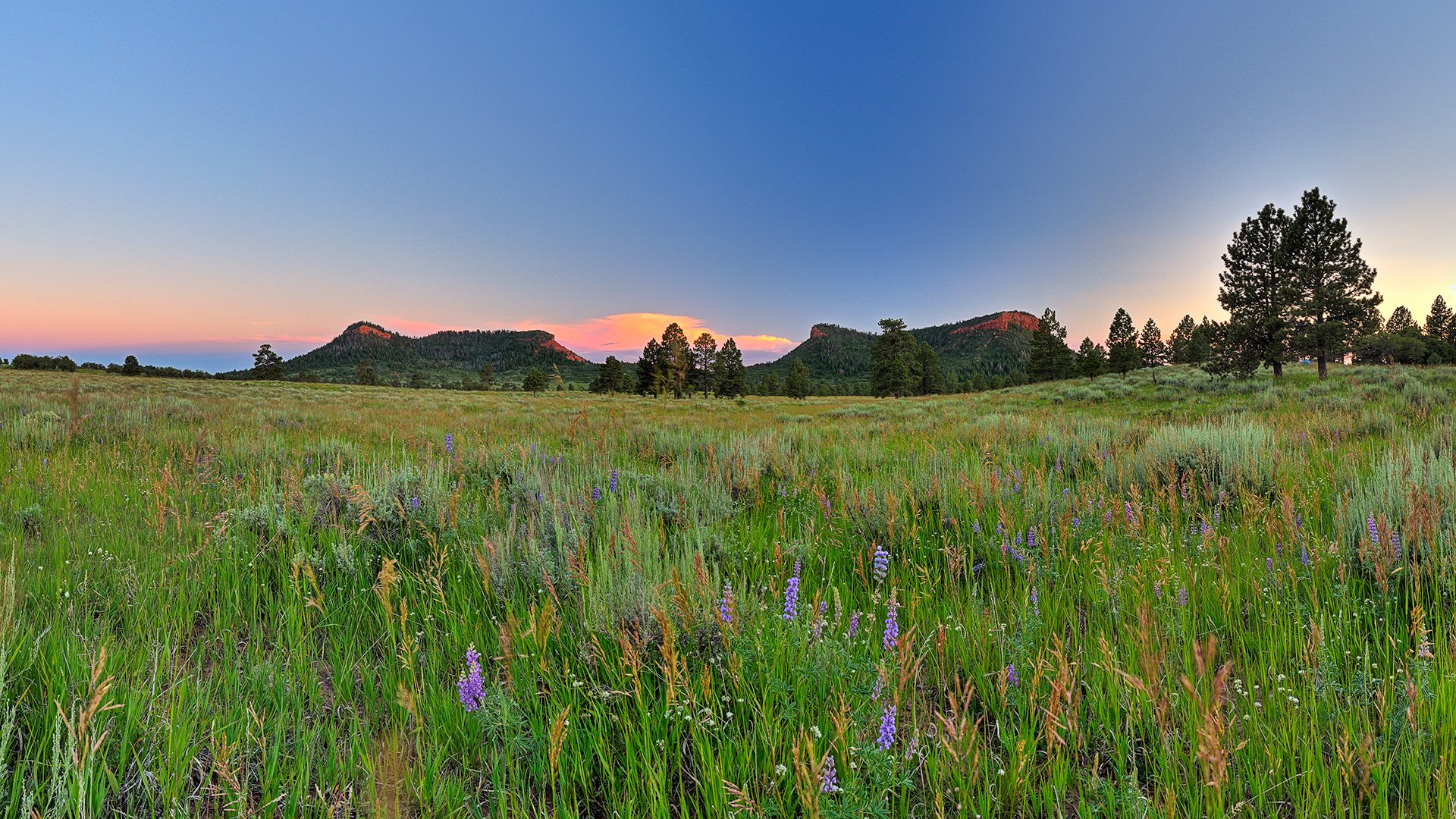 bears ears buttes