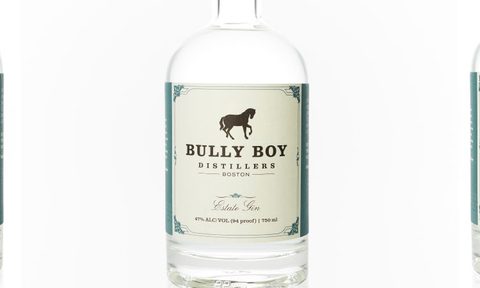 bully boy