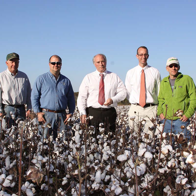 carolina cotton supply chain for ts designs