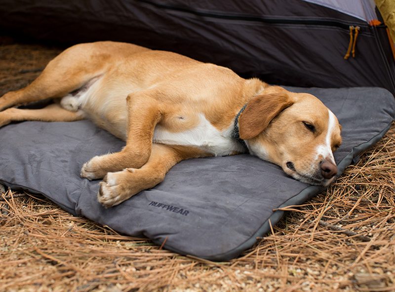 Ruffwear Mt. Bachelor Pad