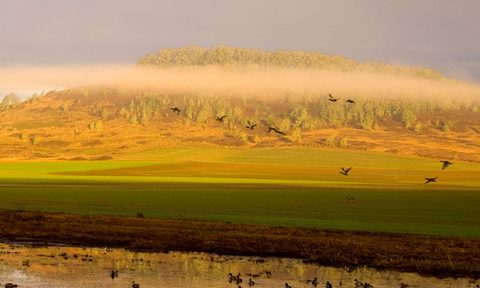 Willamette Valley