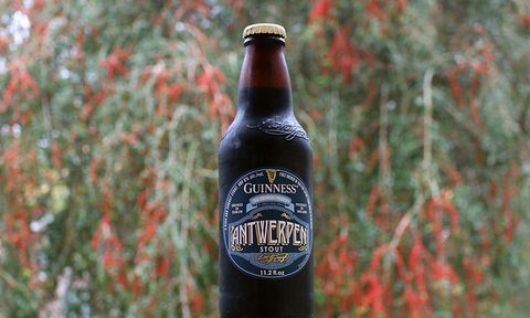 guinness antwerpen stout