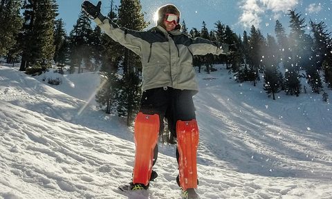 sled legs