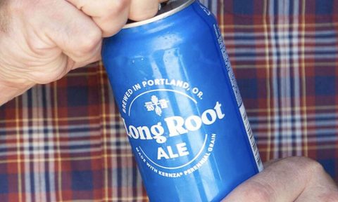 long root ale