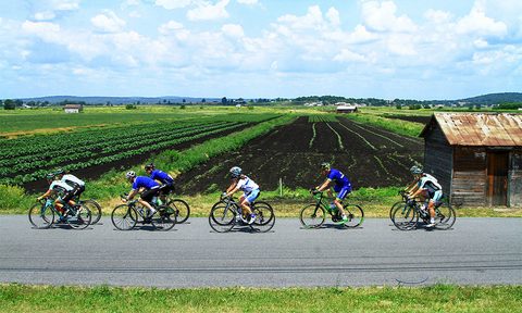 Farm to Fork Fondo