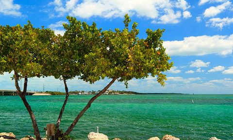 best of key west