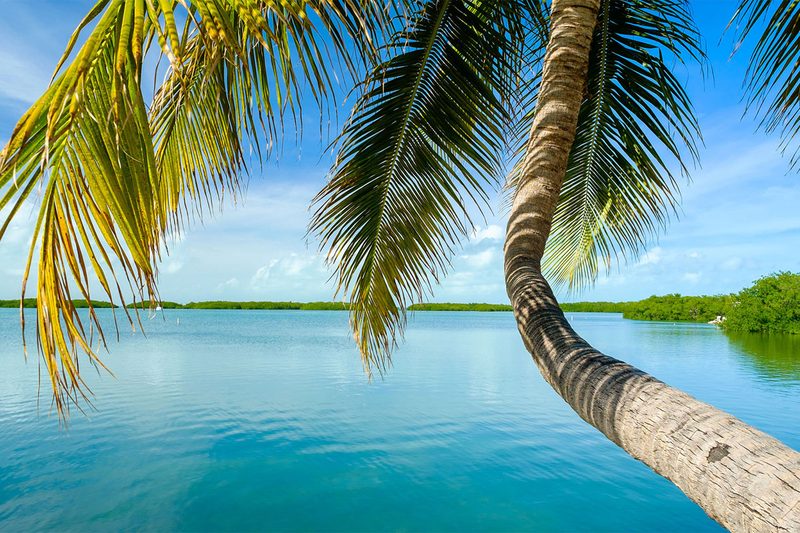 The Florida Keys