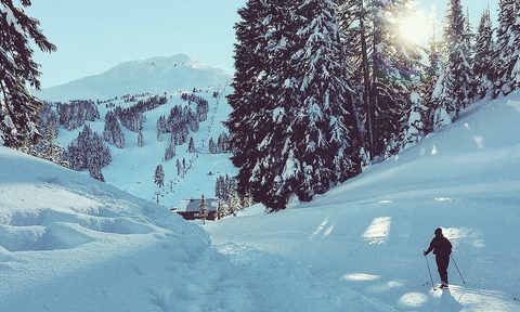Winter Train