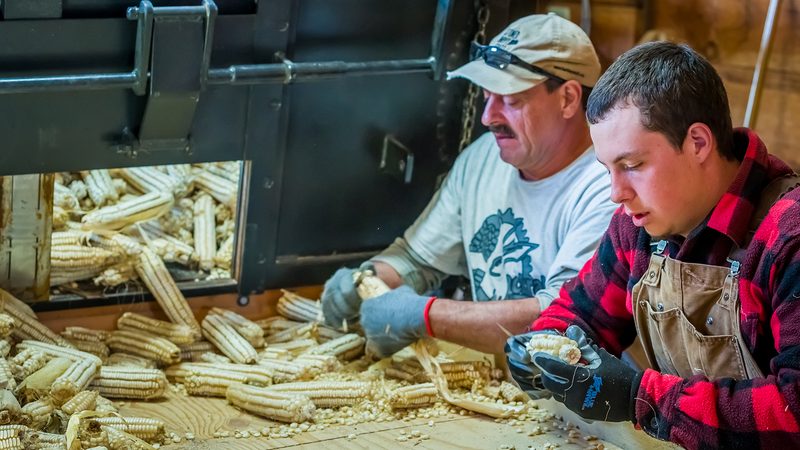 Barkley's Mill Harvest