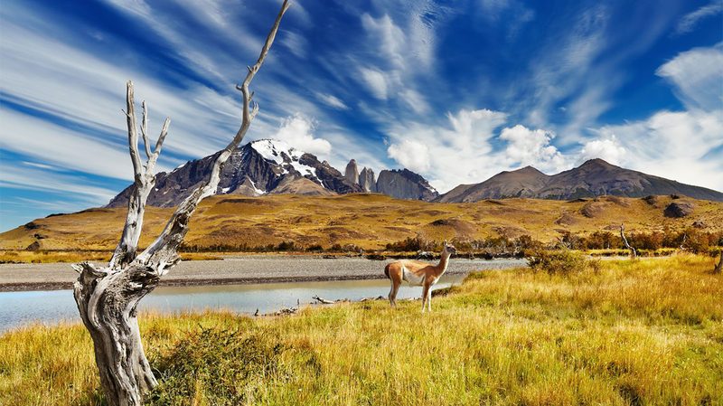 Patagonia