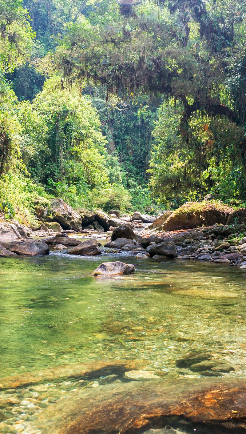 Sierra-Santa-de-Marta-Mountains-Colombia-2