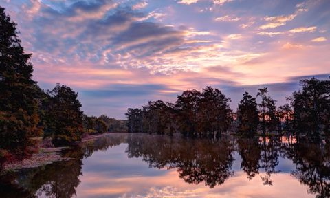 Stock-Cajun-Country-Louisiana, cajun country