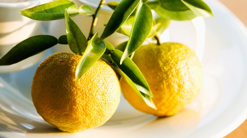 Stock-Yuzu-Fruit-on-a-Plate