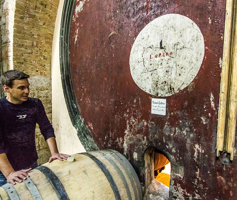 croatia wine cellar sapore