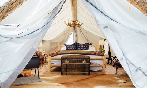 collective retreats lux camping 2