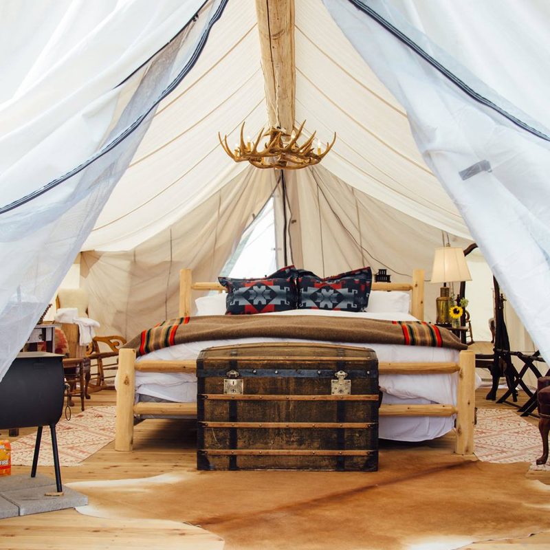 collective retreats lux camping 2