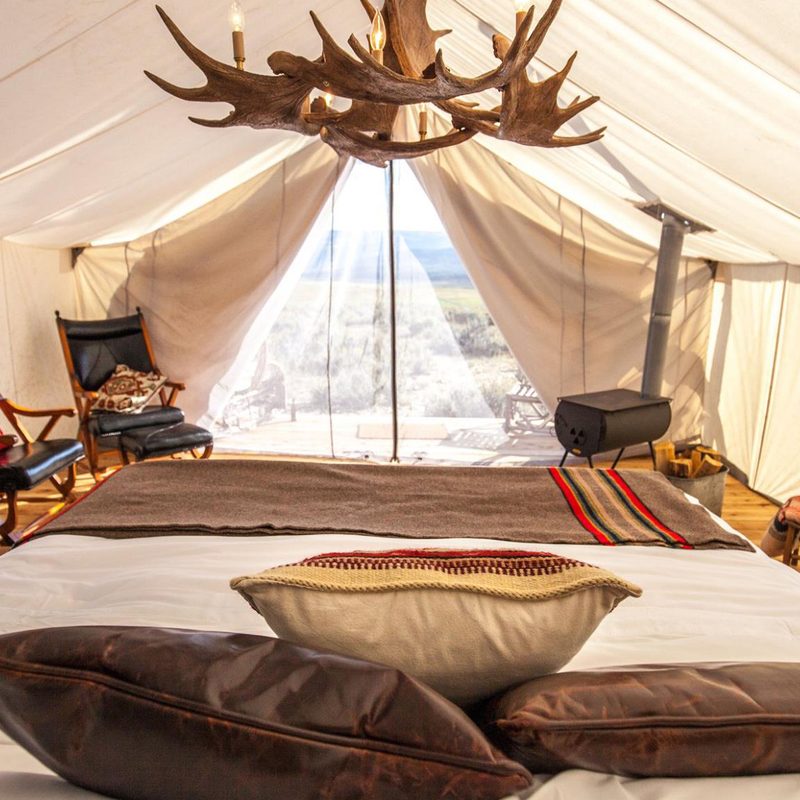 collective retreats lux camping 5