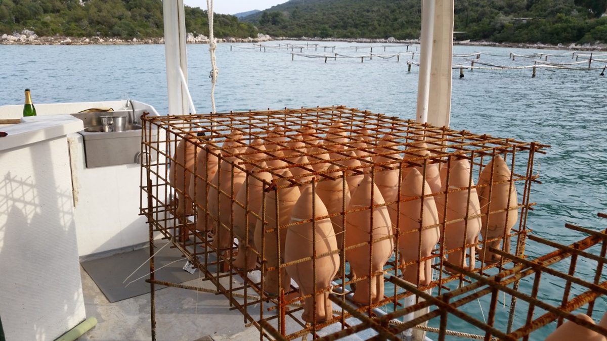 underwater winery croatia edivo 3
