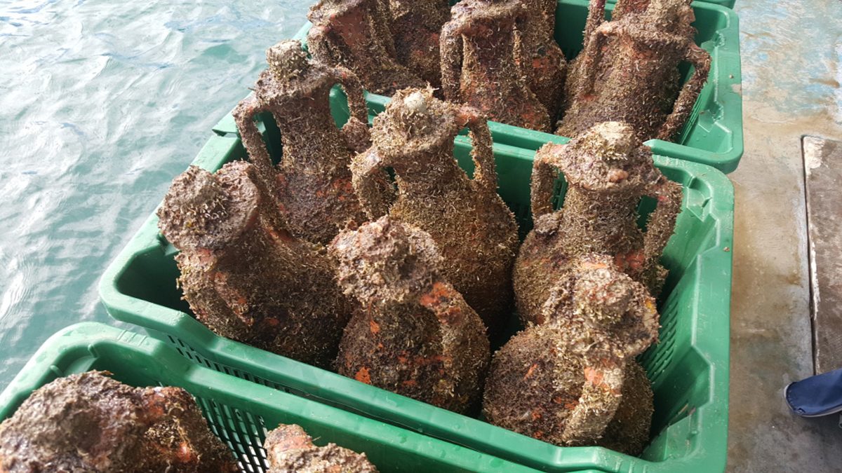 underwater winery croatia edivo 6
