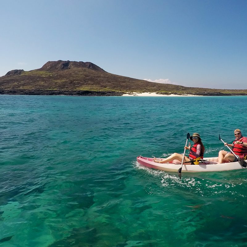international expeditions galapagos 2