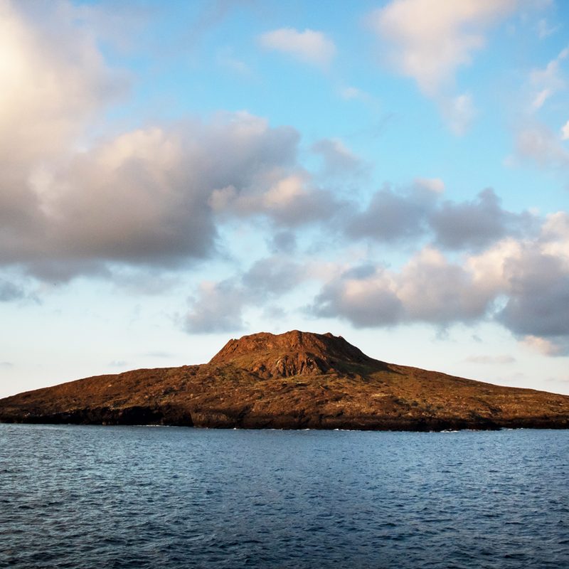 international expeditions galapagos 20