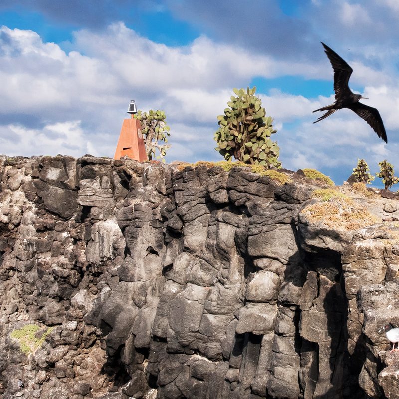 international expeditions galapagos 22