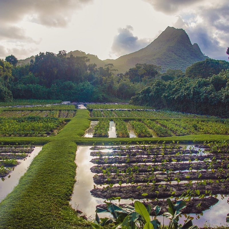 island earth documentary film  8 edited