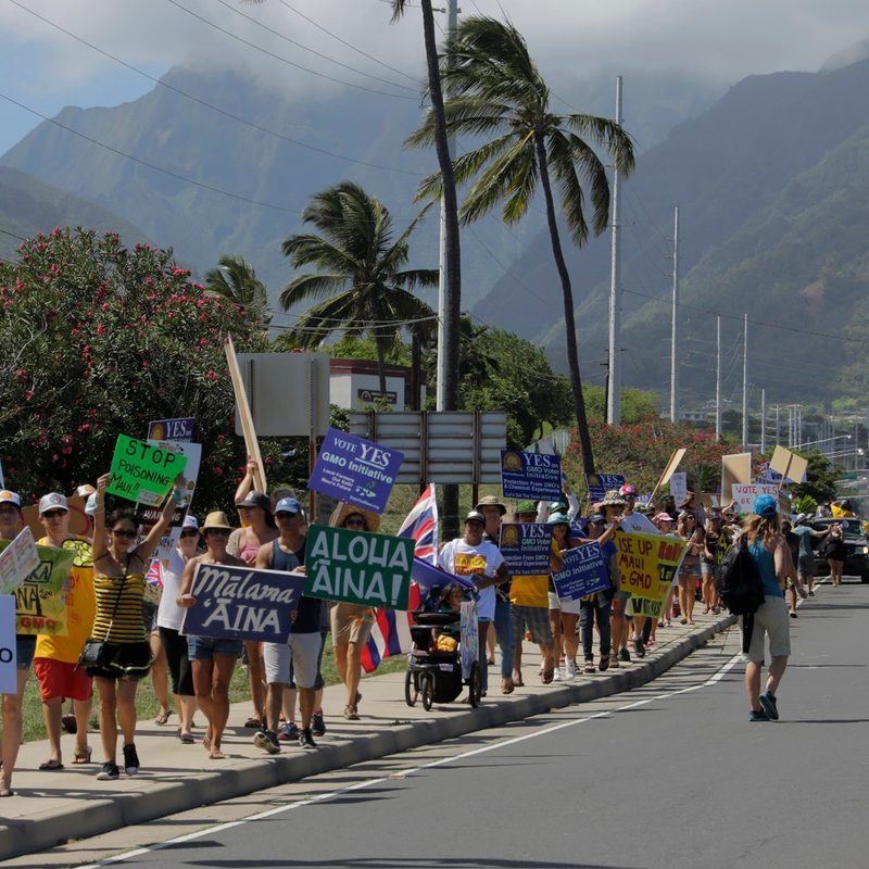 island earth documentary film  maui 2015 gmo moratorium bill marchedited