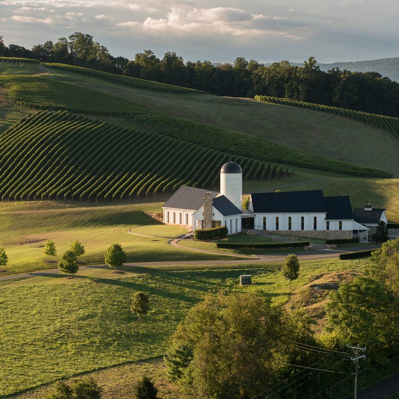 Rdv Vineyards property in Virginia.