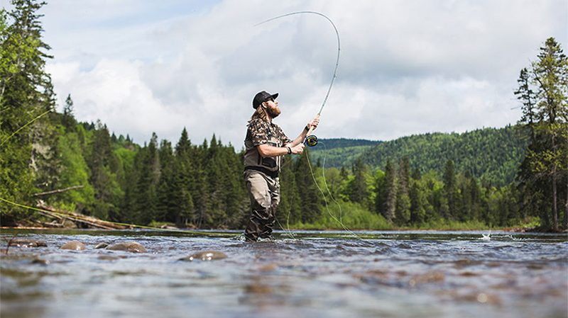 The Fly Fisher