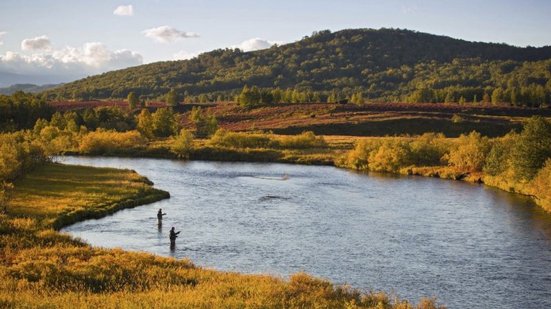 The Fly Fisher