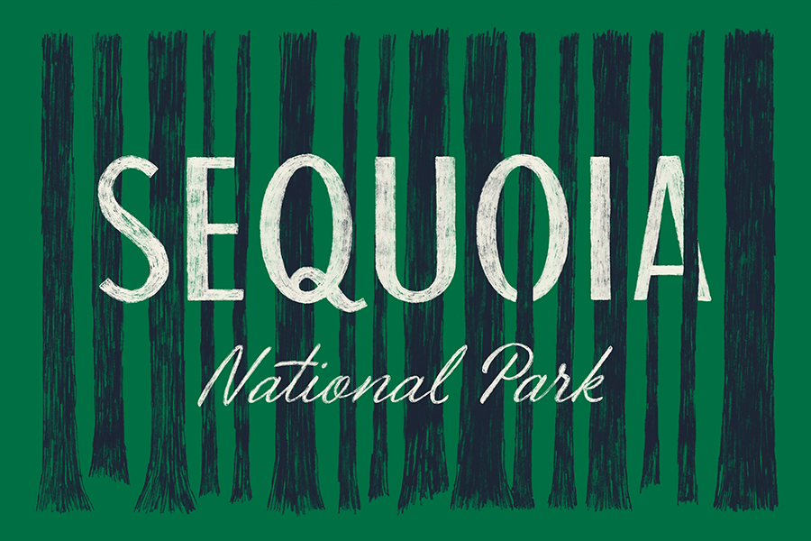 type hike sequioa national park