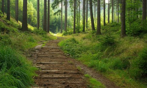 tomtom off the beaten path