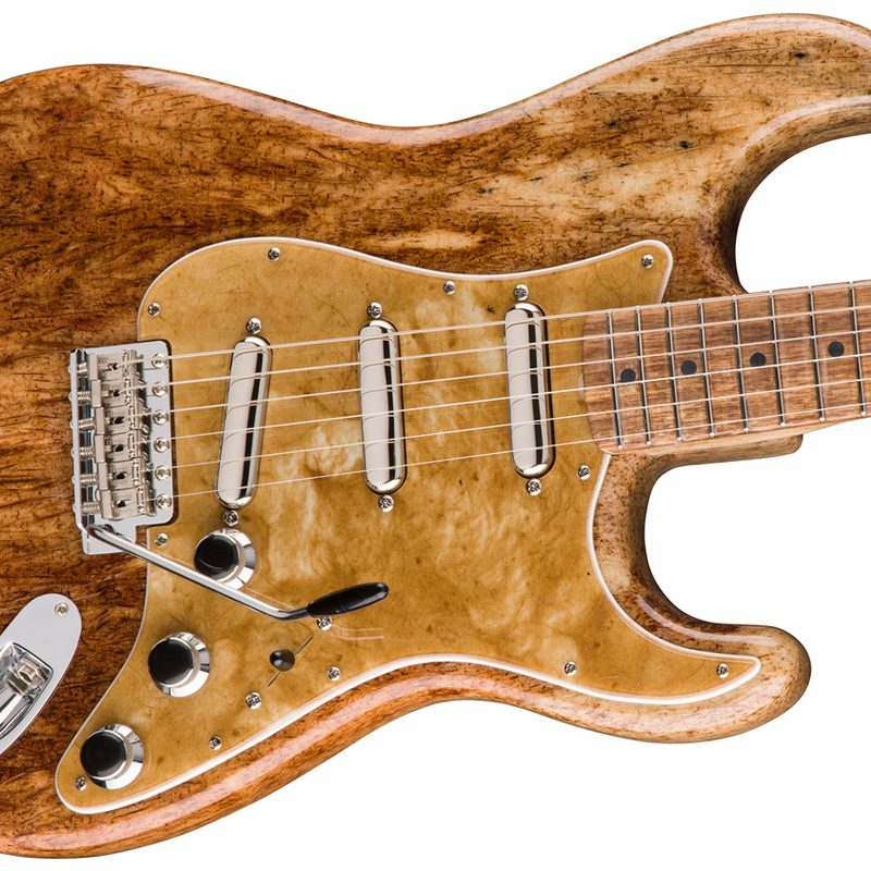 fender jose cuervo agave guitar 2017 paul waller strat 3 v2