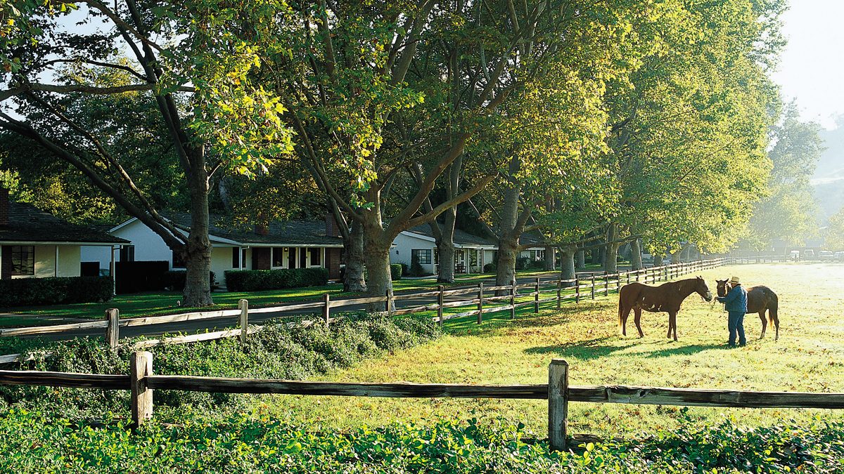 digital detox alisal ranch guest 6