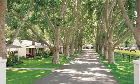 Alisal Ranch